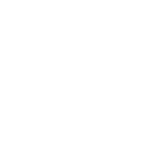 Casa Rosada 2015
